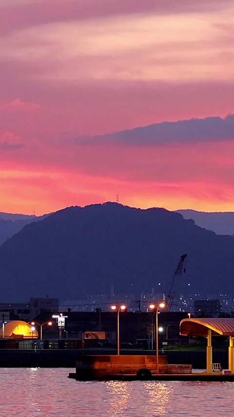 Grey Heron Crying in a Japanese Harbor Shaded in Pink Sunset with Audio,Vertical 库存影片 341113155