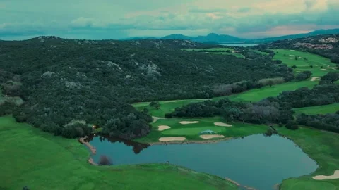 Grey heron in flight over a golf course Video stock 232397139