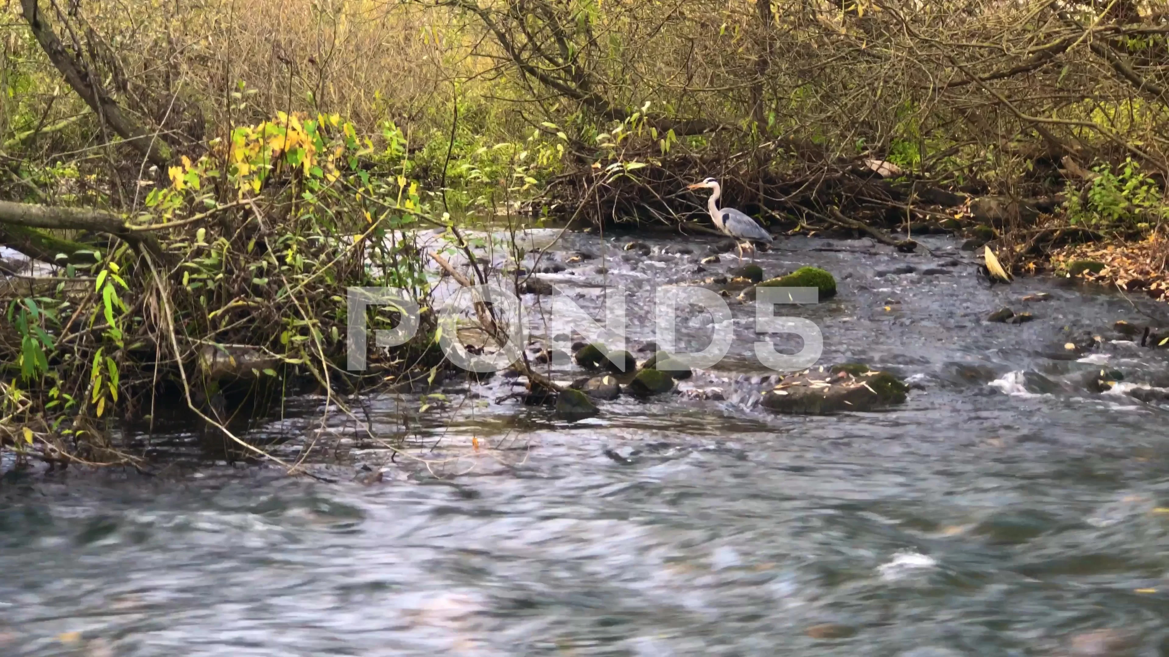 Odense Stock Footage Royalty Free Stock Videos Pond5