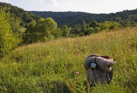 Grey hiking backpack Stock Photos