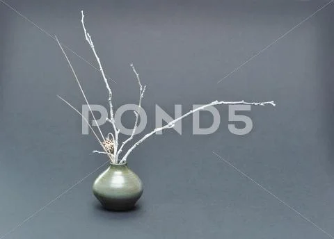 Grey ikebana Stock Photos