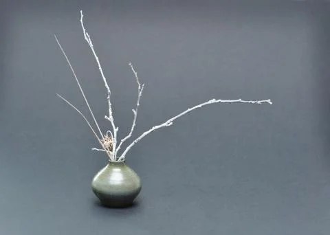 Grey ikebana Stock Photos