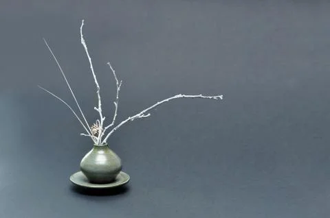Grey ikebana Stock Photos
