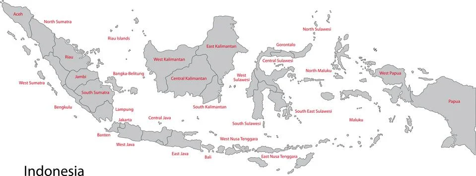 Grey Indonesia map イラスト素材