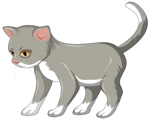 Grey kitten alone isolated on white background Illustrazione stock