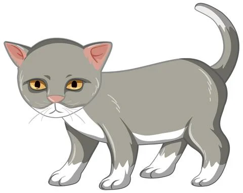 Grey kitten standing alone isolated on white background Stock Illustration