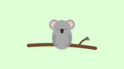 Grey koala bear sleeping on a brown eucalyptus branch slowly waking up and .. Stock Footage 346612150
