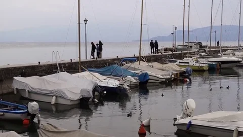 Grey on lake Video stock 81999368