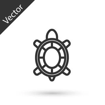Grey line Turtle icon isolated on white background. Vector Stock Illustration