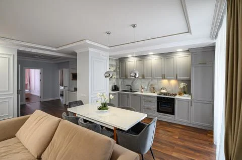 Grey luxury studio kitchen designed in modern style Stock Photos
