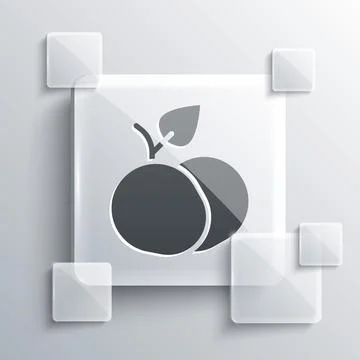 Grey Mango fruit icon isolated on grey background. Square glass panels. Vector Stock Illustration