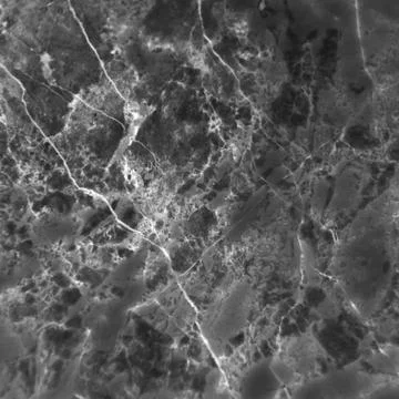 Grey marble texture Stock Photos