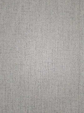 Grey metallic background. Background image. Texture. 스톡 일러스트