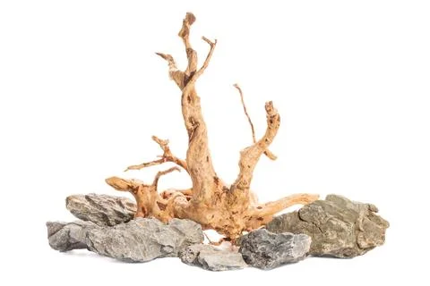 Grey mountain stone with red moor driftwood for aquarium aquascaping design Stock Photos