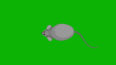 Grey Mouse Animated Character on Green Screen – Cute Rodent Animation Stock Footage 314919358