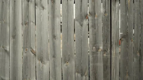 Grey old Wood Plank Texture Background. Wood background Stock Footage 266806050