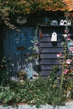 Grey painted wooden garden hut with hydrangeas Stock Photos