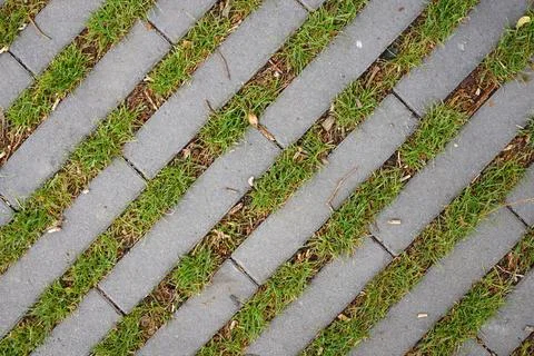 Grey paving stones pattern with green grass growing in gaps top view texture Stock Photos