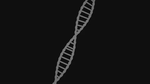 A Grey plain basic double helix spinning animation black background Stock Footage 155220204