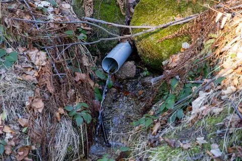 A grey plastic pipe drains fresh water from a mossy rock into a forest stream, Фото