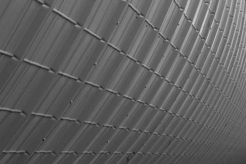 Grey plate Stock Photos