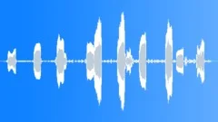 Grey Plover MCU Calls Sound Effect