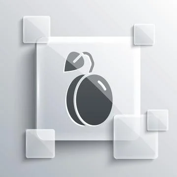 Grey Plum fruit icon isolated on grey background. Square glass panels. Vector Stock Illustration