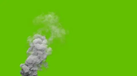 Grey pollute smoke column from forest fire on chroma key screen 스톡 일러스트