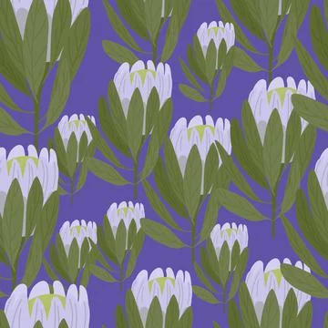 Grey random protea flowers silhouettes seamless pattern in doodle style. Purp Illustrazione stock