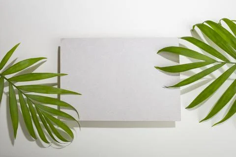 Grey rectangular card cement podium or business card on gray  background wi.. Stock Photos