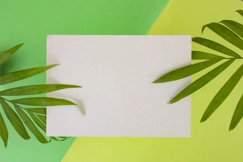 Grey rectangular card podium or business card on two tone green background .. Stock Photos