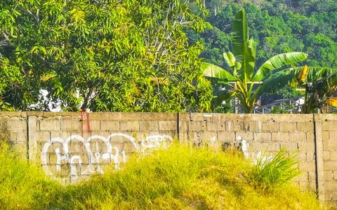 Grey rock brick stone wall with graffiti flowers plants Thailand. Stock Photos