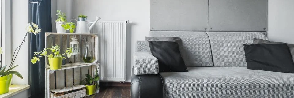 Grey room with green elements Stock Photos