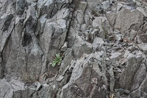A Grey Rough Surface of the Boulder, Stone or Rock, beautiful Texture Stock Photos
