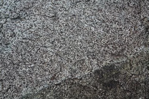 A Grey Rough Surface of the Boulder, Stone or Rock, beautiful Texture Stock Photos