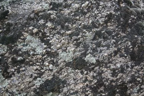 A Grey Rough Surface of the Boulder, Stone or Rock, beautiful Texture Stock Photos