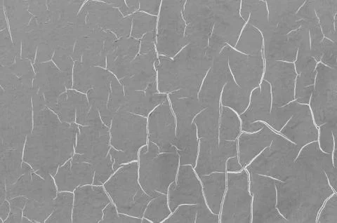 Grey rustic texture background with craquelure. Monochrome.  Black and white. Stock Photos