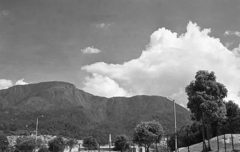 A grey scale shot of the trees in front of the mountains under the clouds in  Stock Photos