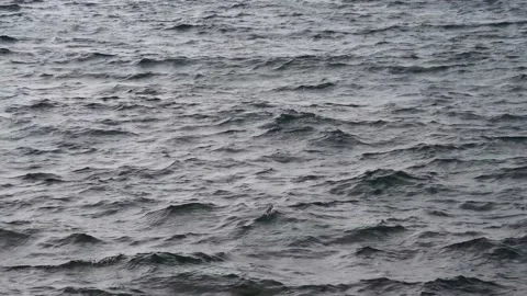 Grey sea waves Stock Footage 158434184