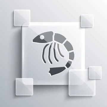 Grey Shrimp icon isolated on grey background. Square glass panels. Vector Stock Illustration