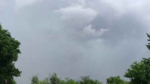 The Grey Sky and Clouds after the rain with Green Trees Stock Footage 149873065