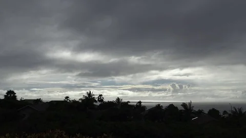 Grey sky and palm trees in Hawaii Stock Footage 81685686