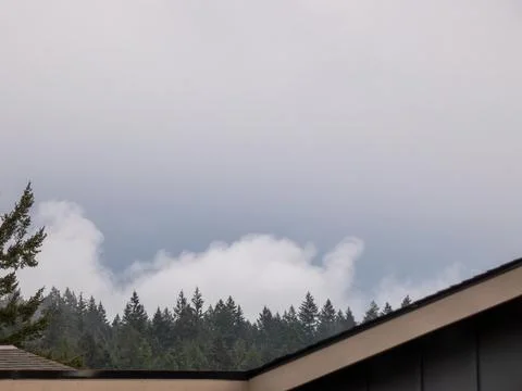 A grey sky with low clouds and forest Stock Photos