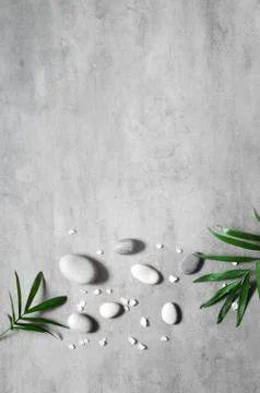 Grey spa background, spa concept, palm leaves and grey stones, top view. Stock Photos