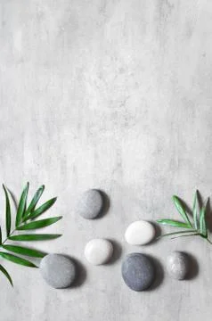 Grey spa background, spa concept, palm leaves and grey stones, top view. Stock Photos