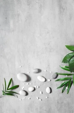 Grey spa background, spa concept, palm leaves and grey stones. Stock Photos