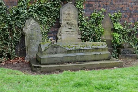 A grey squirrel perches on a grave Stock Photos