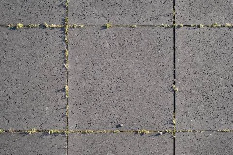 Grey stone on grass. Close up Stock Photos