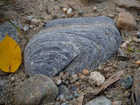Grey stone on a sandy ground Stock Photos