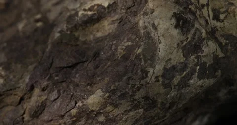 Grey stone texture close-up. macro shot of a rock. natural mineral background Stock Footage 249599370